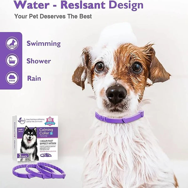 Ultimate Calming Pet Collar